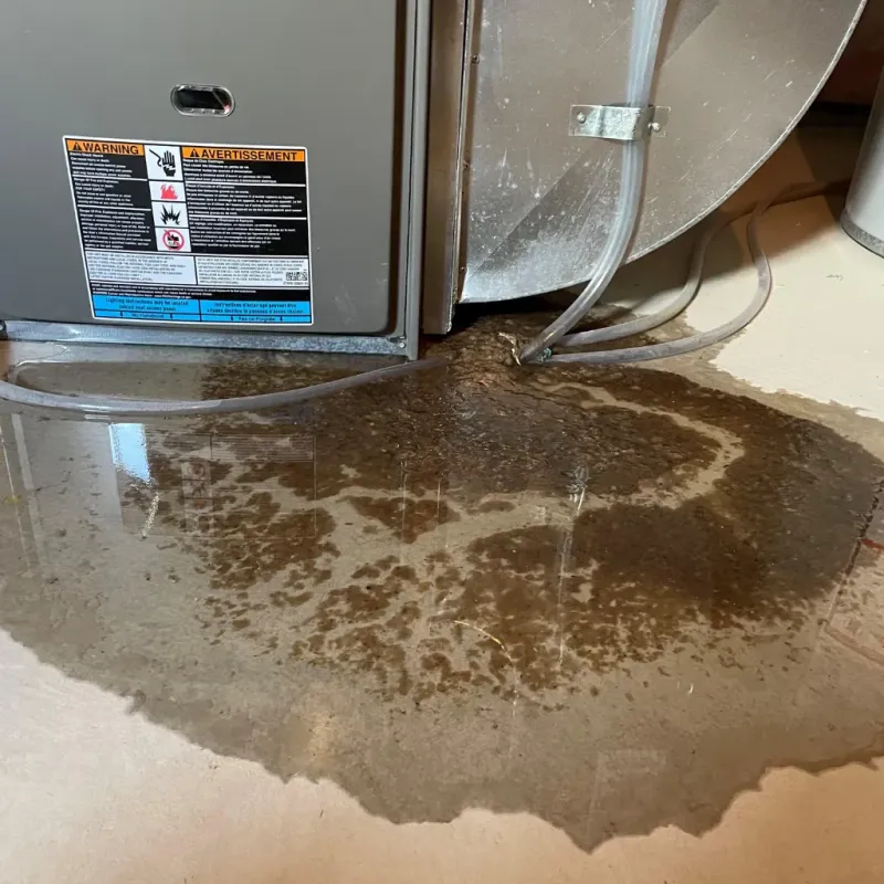 Appliance Leak Cleanup in Kingsburg, CA